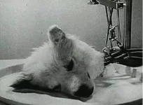 Zombi Köpek Deneyi.webp