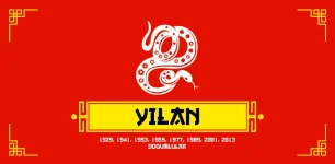 Yılan Burcu.webp